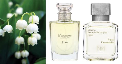 miglior profumo al mughetto
